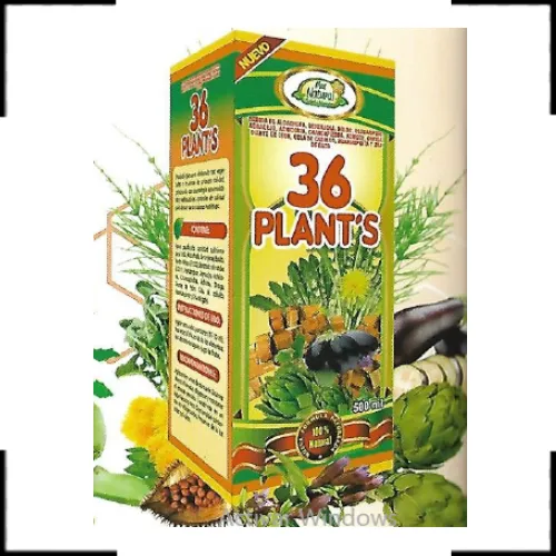 36 Plants de Mas Natural